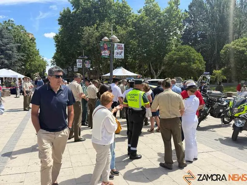 Zamora celebra el D&iacute;a de las Fuerzas Armadas_19
