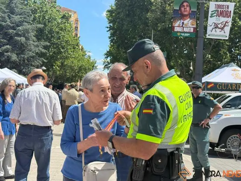 Zamora celebra el D&iacute;a de las Fuerzas Armadas_20