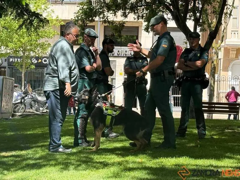 Zamora celebra el D&iacute;a de las Fuerzas Armadas_24