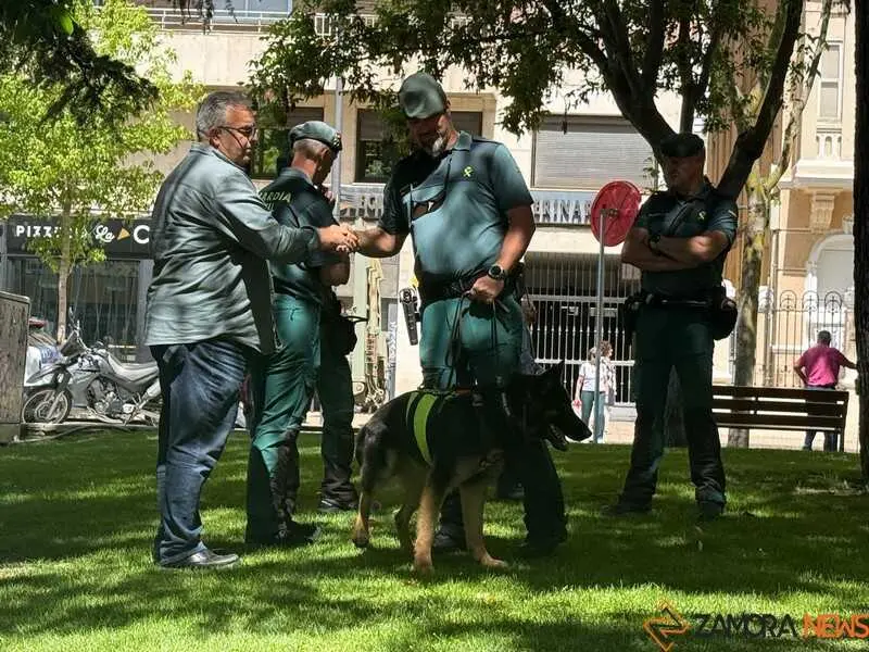 Zamora celebra el D&iacute;a de las Fuerzas Armadas_25