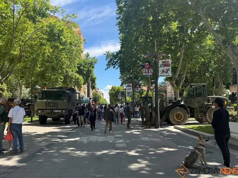 Zamora celebra el D&iacute;a de las Fuerzas Armadas_27