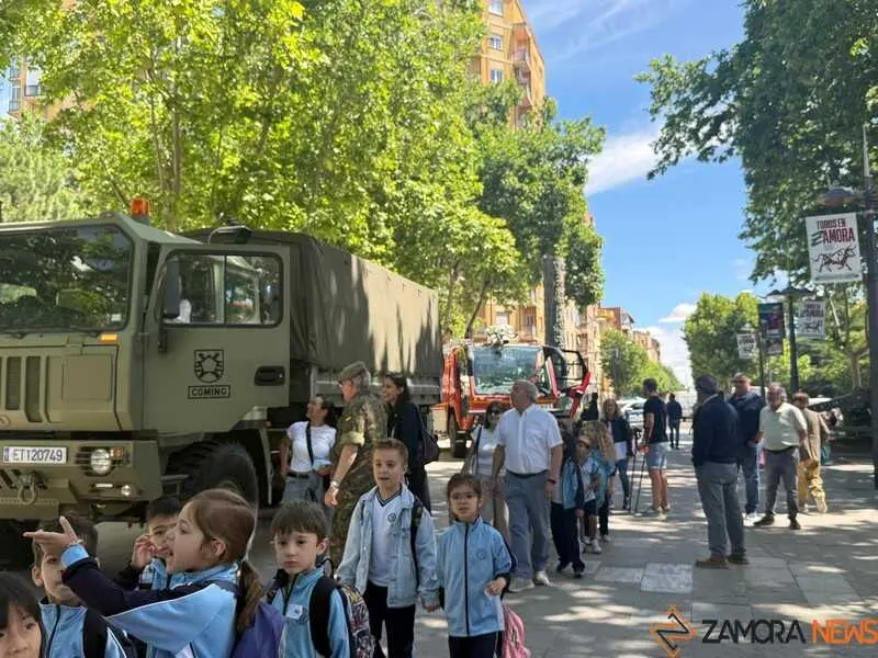 Zamora celebra el D&iacute;a de las Fuerzas Armadas_28