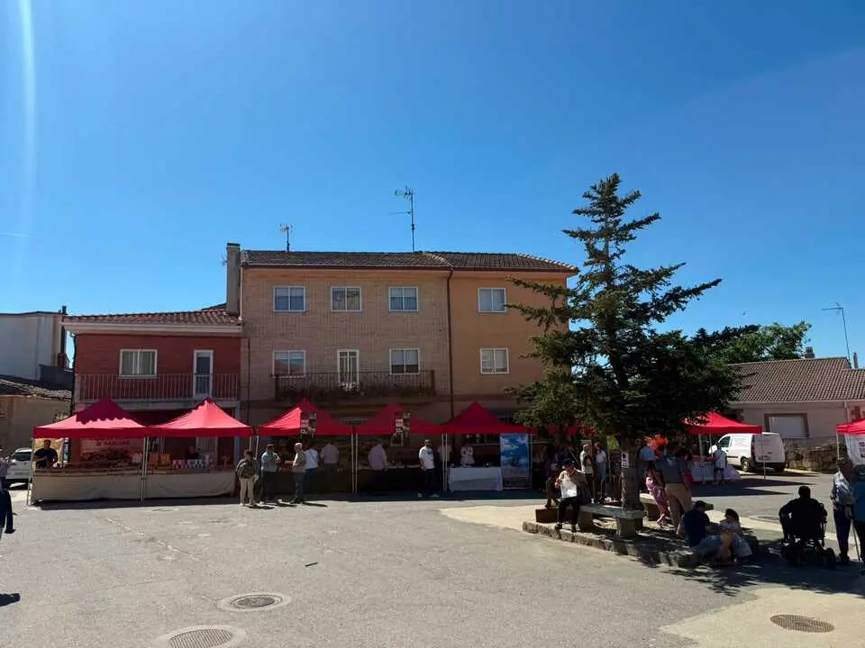 FONFR&Iacute;A 1