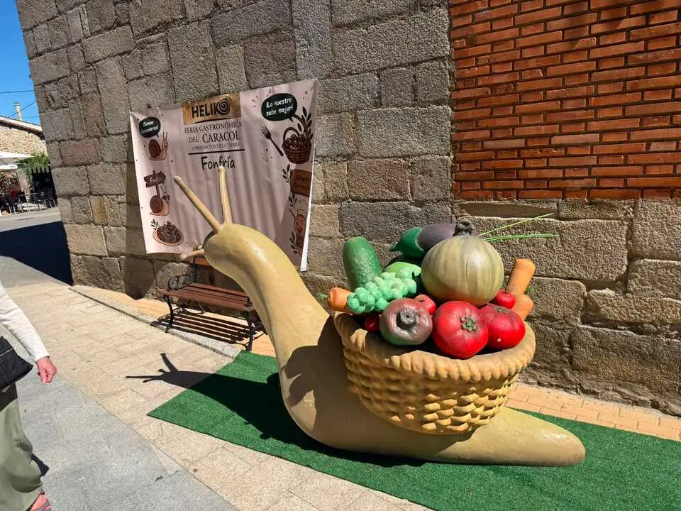 FONFR&Iacute;A 5