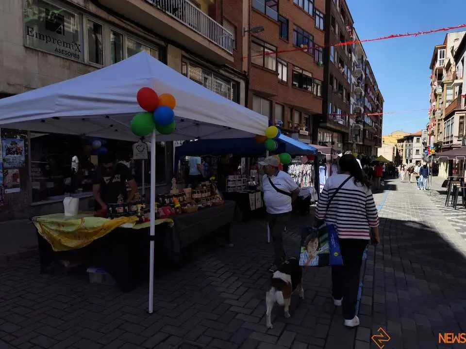 Fiesta del comercio El Riego _6
