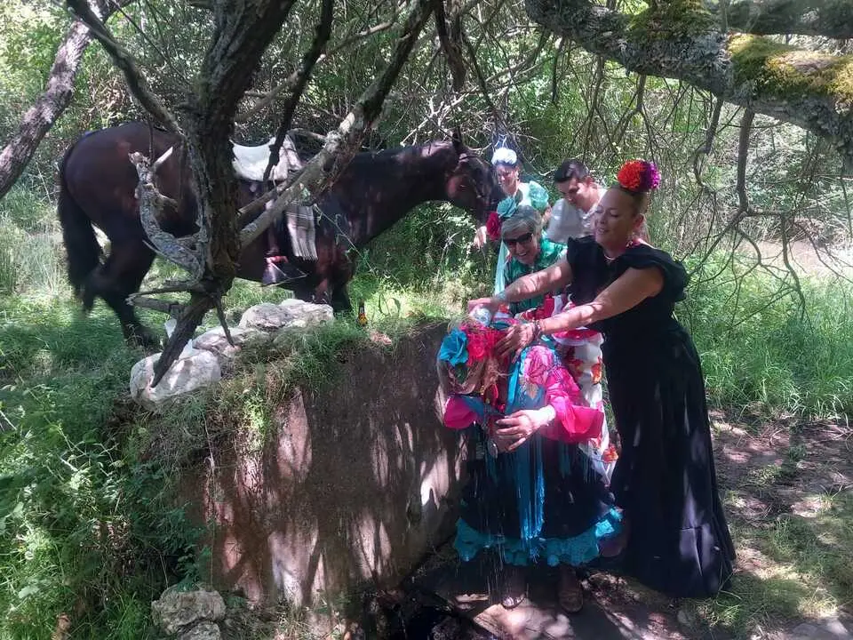   Camino Flamenco Andavias