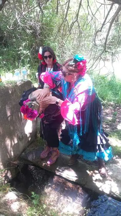   Camino Flamenco Andavias_6