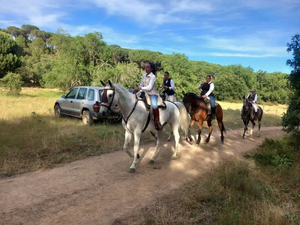   Camino Flamenco Andavias_12