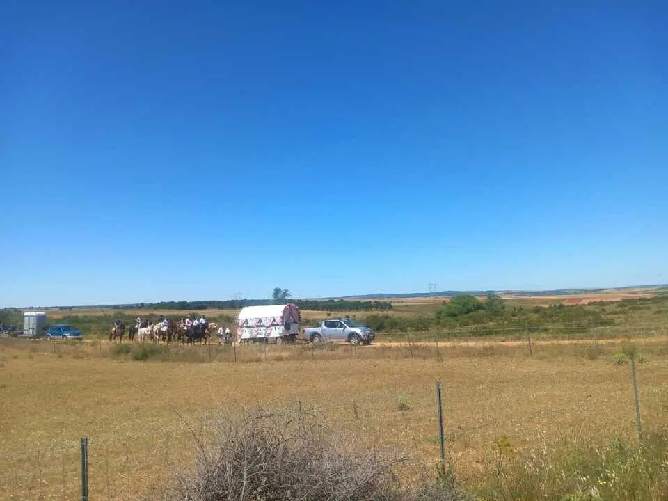   Camino Flamenco Andavias_13