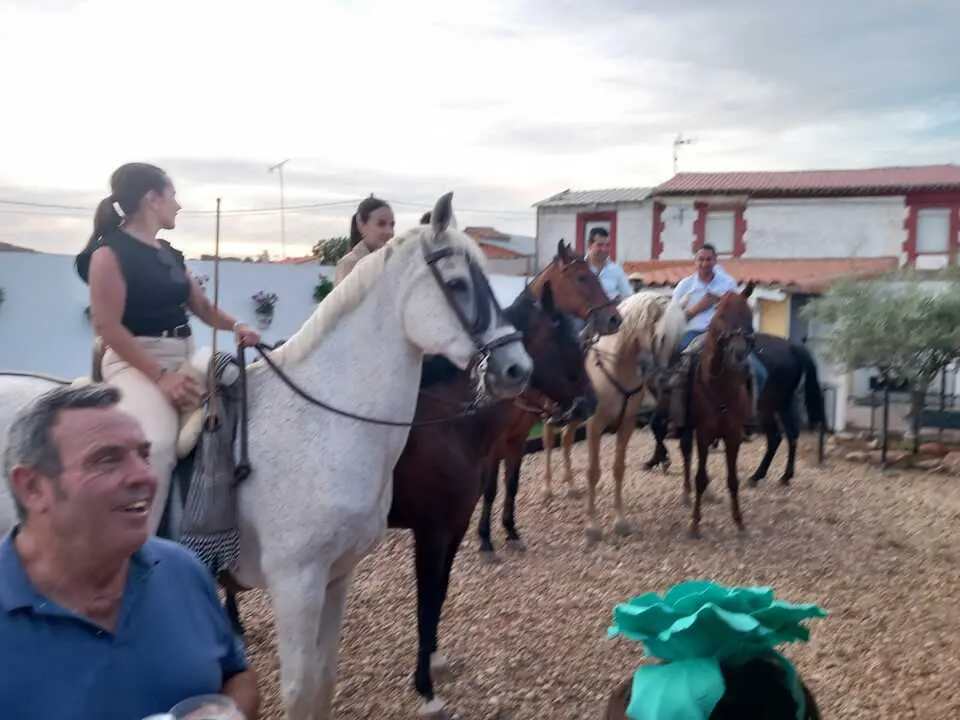   Camino Flamenco Andavias_14
