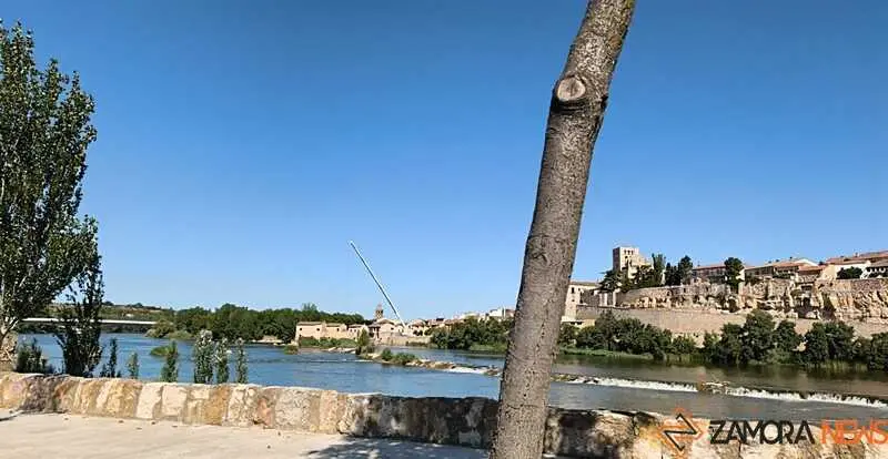 Gr&uacute;a en Las ace&ntilde;as de Olivares