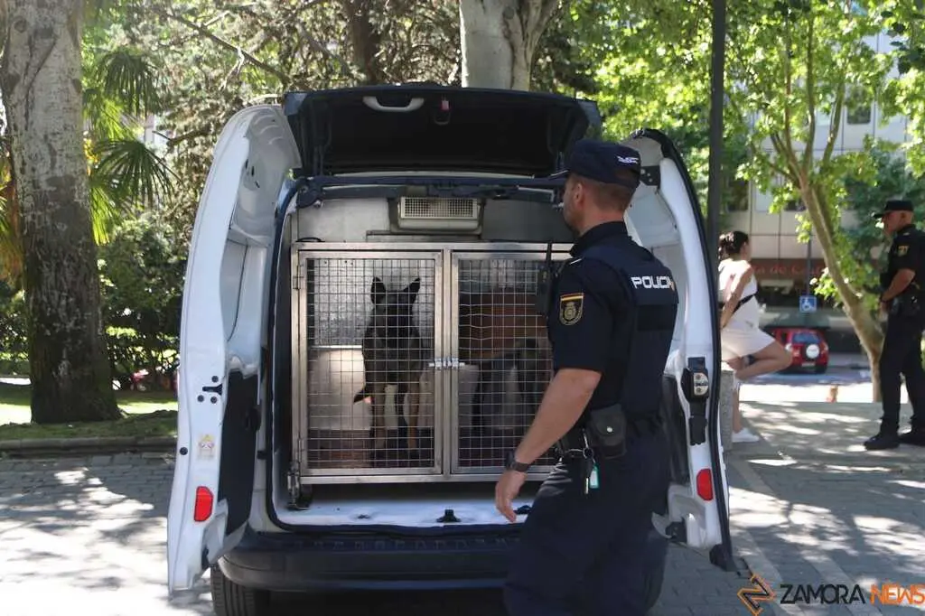  lares participar&aacute;n ma&ntilde;ana en la I Jornada de Seguridad y Primeros Auxilios Zamora _2