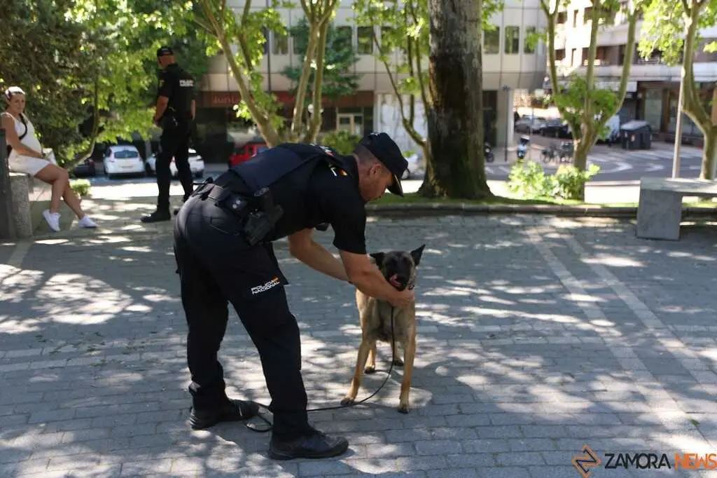  lares participar&aacute;n ma&ntilde;ana en la I Jornada de Seguridad y Primeros Auxilios Zamora _3