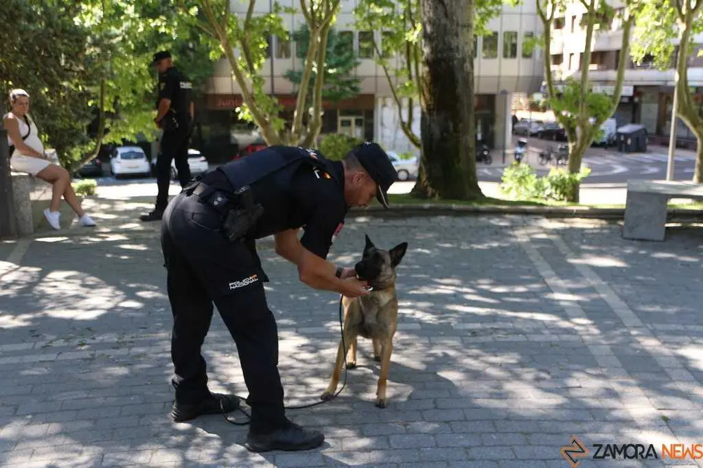  lares participar&aacute;n ma&ntilde;ana en la I Jornada de Seguridad y Primeros Auxilios Zamora _7