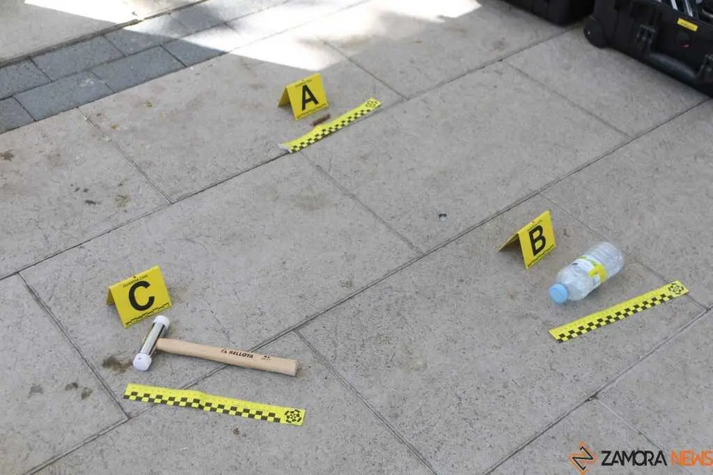  lares participar&aacute;n ma&ntilde;ana en la I Jornada de Seguridad y Primeros Auxilios Zamora _22