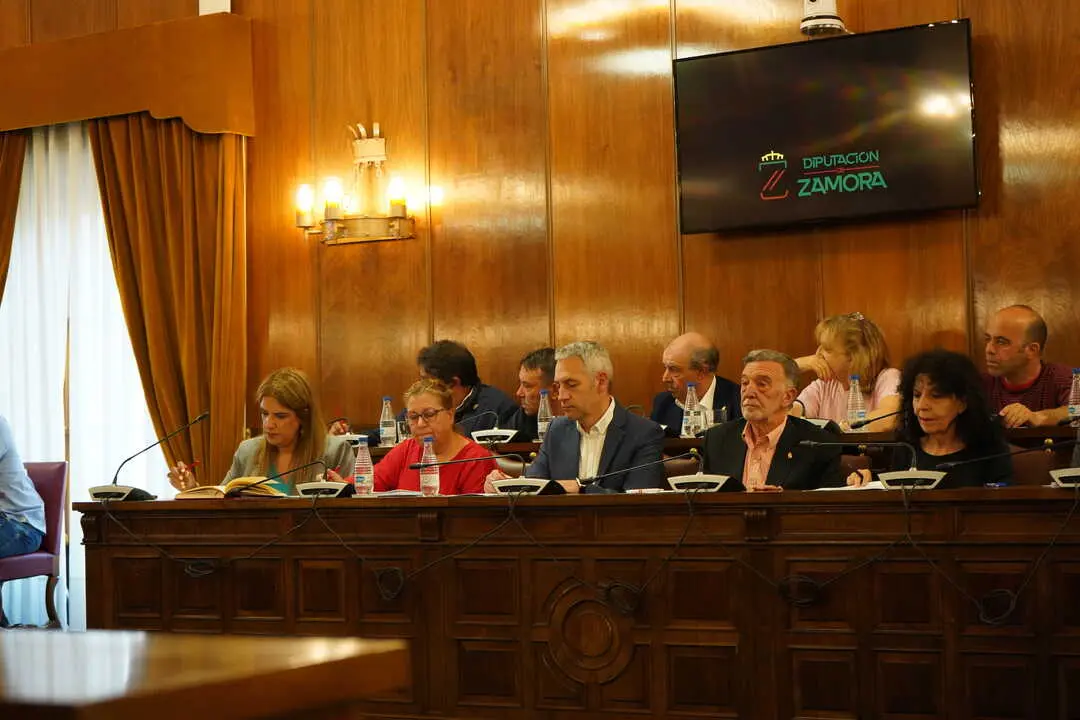 Grupo Socialista en la Diputaci&oacute;n de Zamora