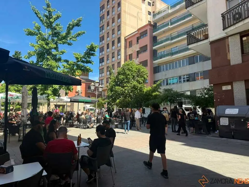 Z1 Live centro de la capital _19