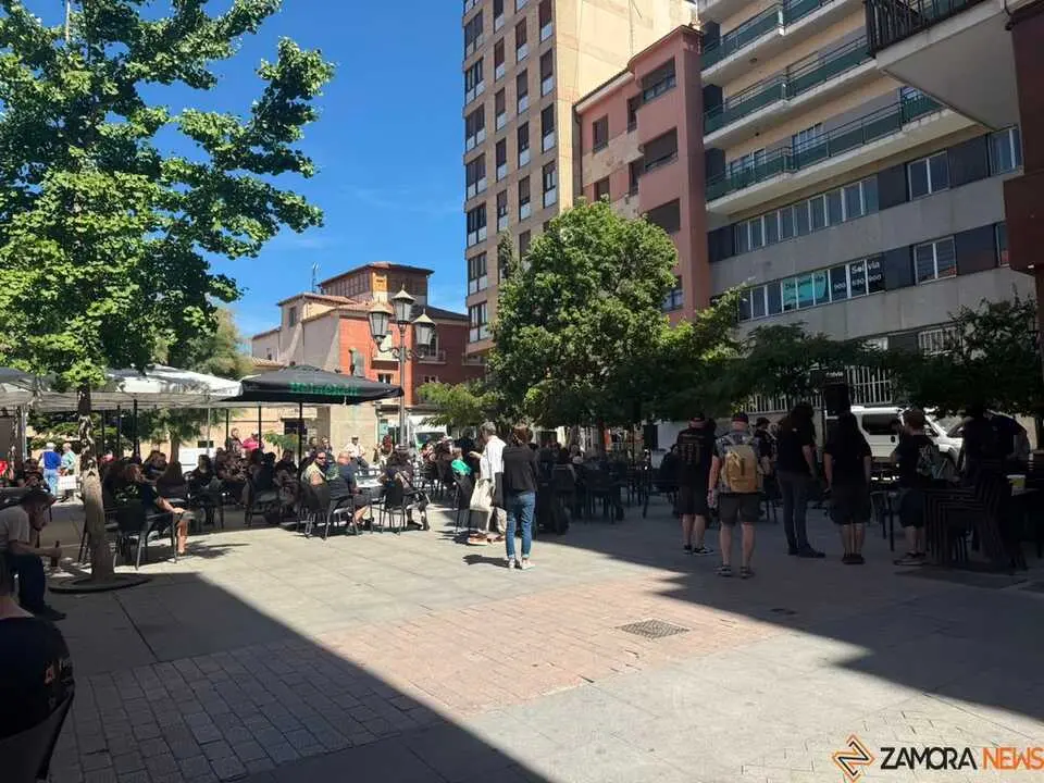 Z1 Live centro de la capital _20