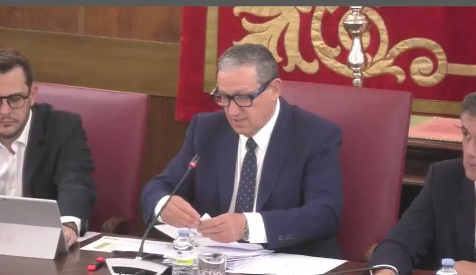 pleno diputaci&oacute;n