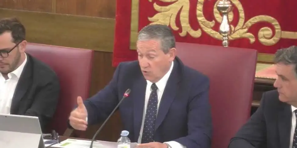 Javier Fa&uacute;ndez, pleno Diputaci&oacute;n