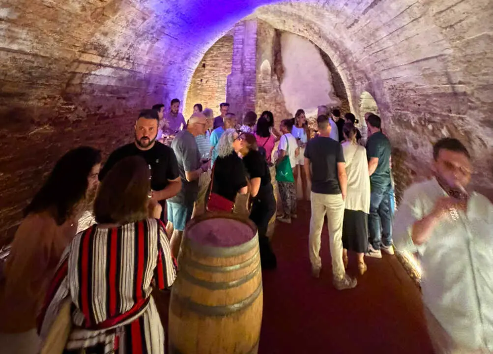 bodega rafa1