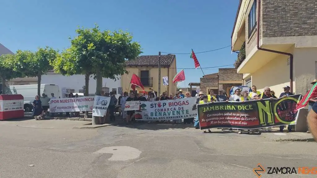 concentraci&oacute;n Zamora en Pie en el d&iacute;a de la provincia _5