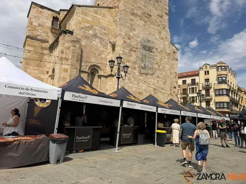 degustaci&oacute;n de callos en Zamora _18