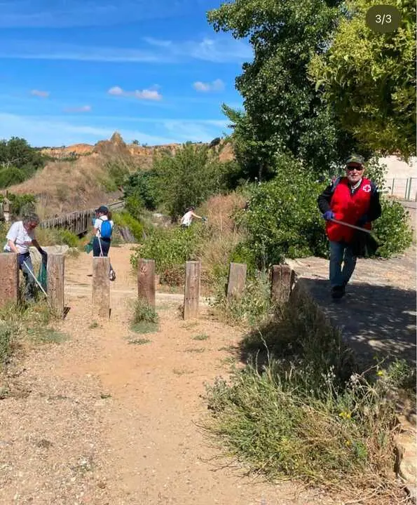 Voluntarios de Cruz Roja recogen basura en Toro