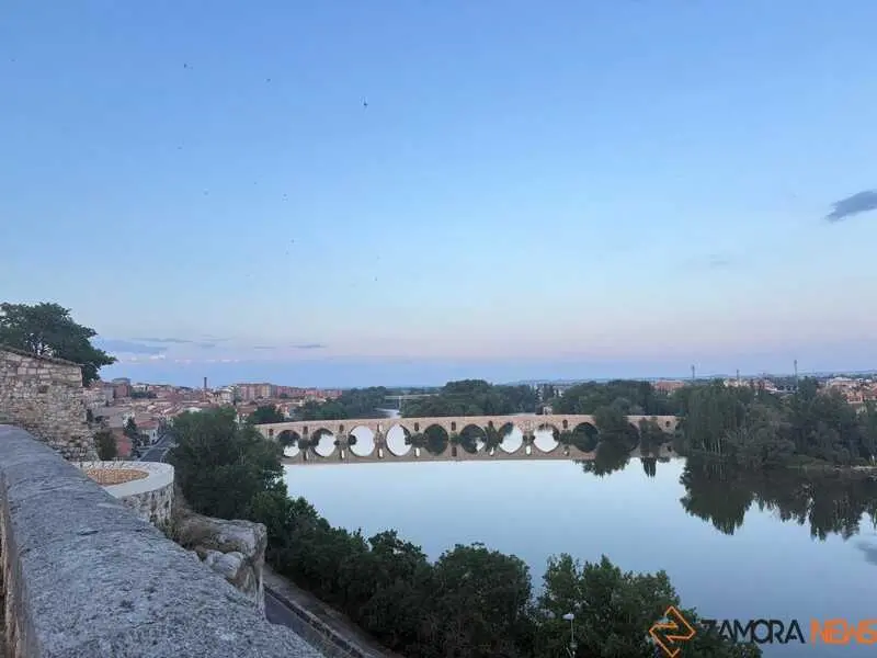 Zamora_2