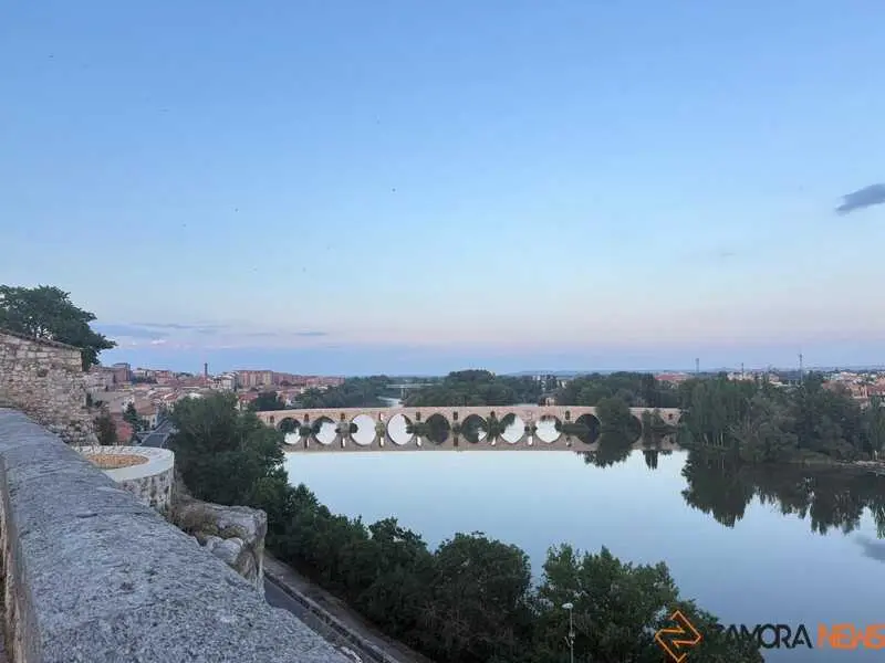 Zamora_3