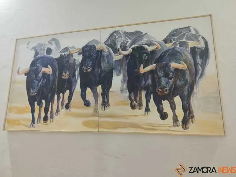 Manuel Diosleguarde, torero en Zamora_8