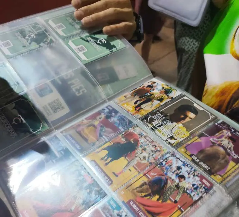 &Aacute;lbum de cromos toros2
