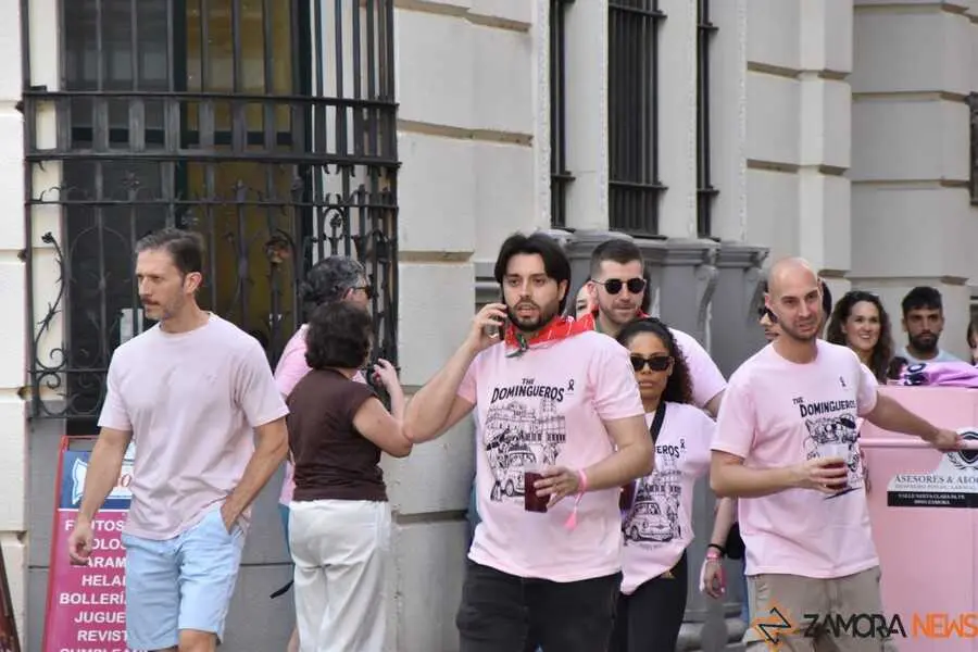 desfile de pe&ntilde;as San Pedro Zamora 2026_53