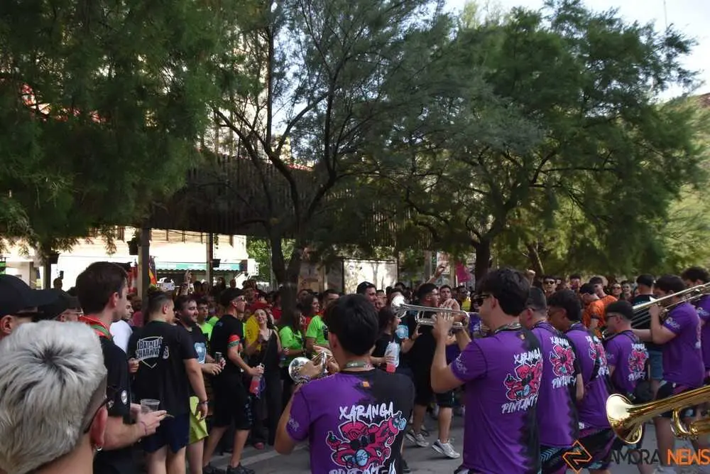 Zamora batalla de charangas 2026_239