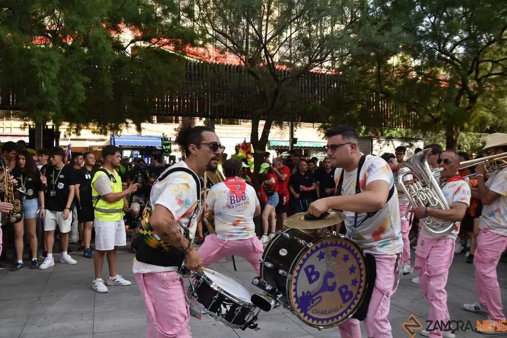 Zamora batalla de charangas 2026_269