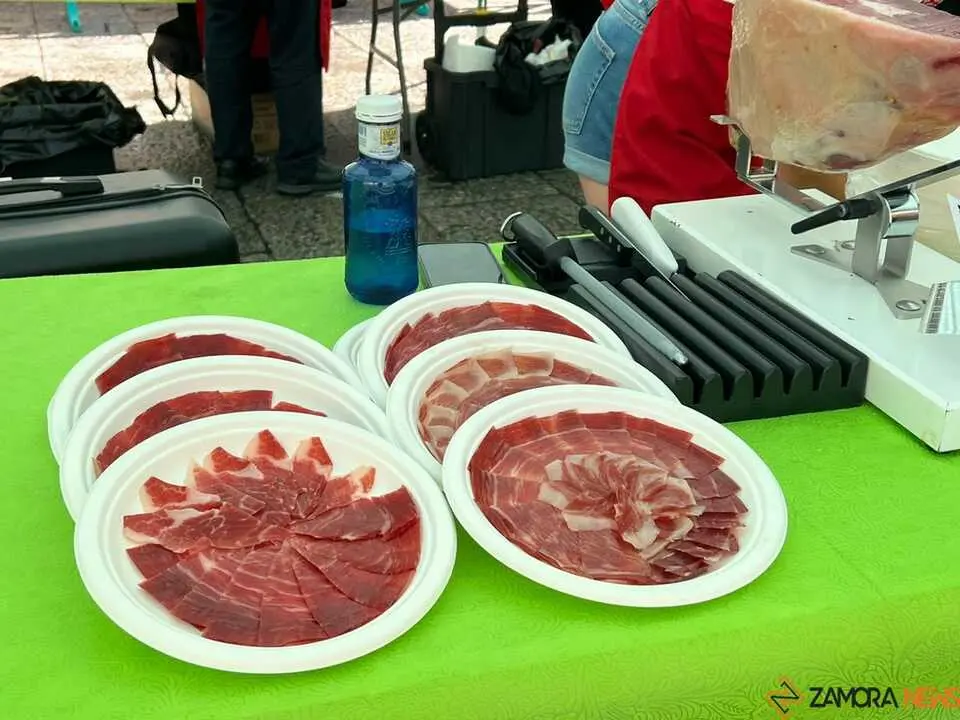 II Encuentro Ben&eacute;fico de cortadores de Jam&oacute;n _5