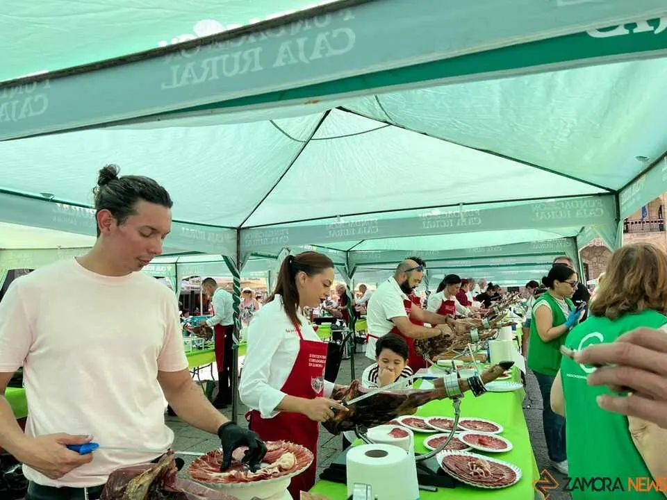 II Encuentro Ben&eacute;fico de cortadores de Jam&oacute;n _15