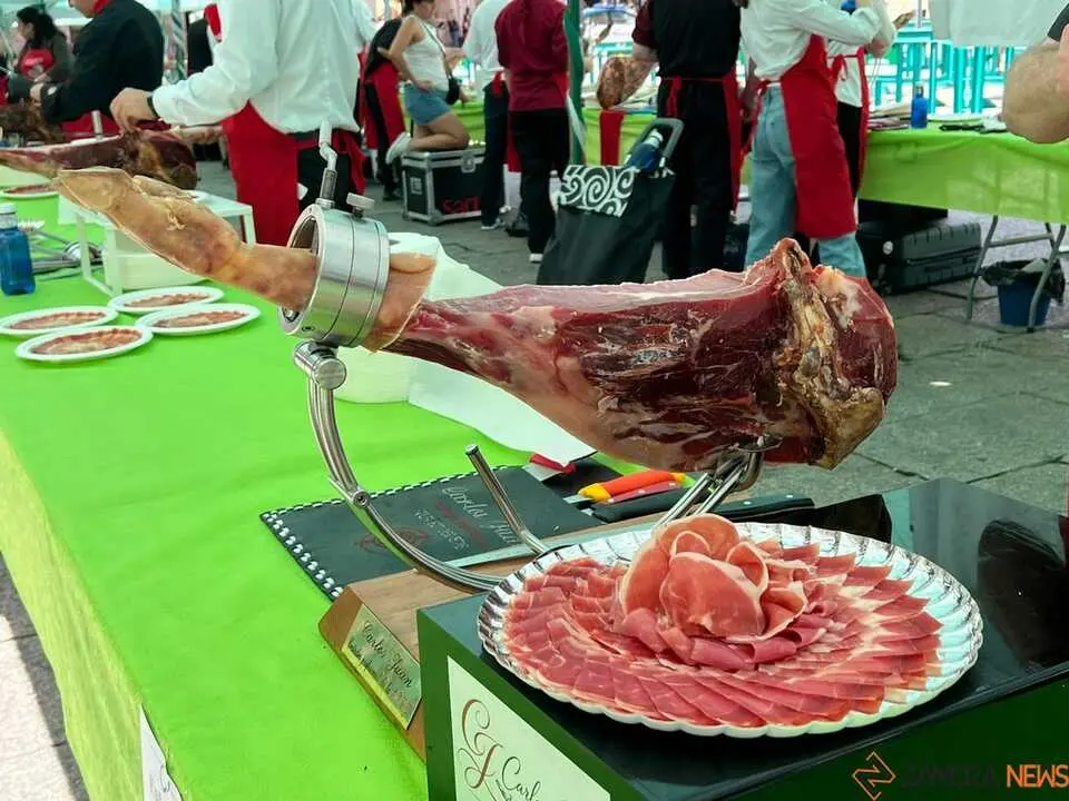 II Encuentro Ben&eacute;fico de cortadores de Jam&oacute;n _40