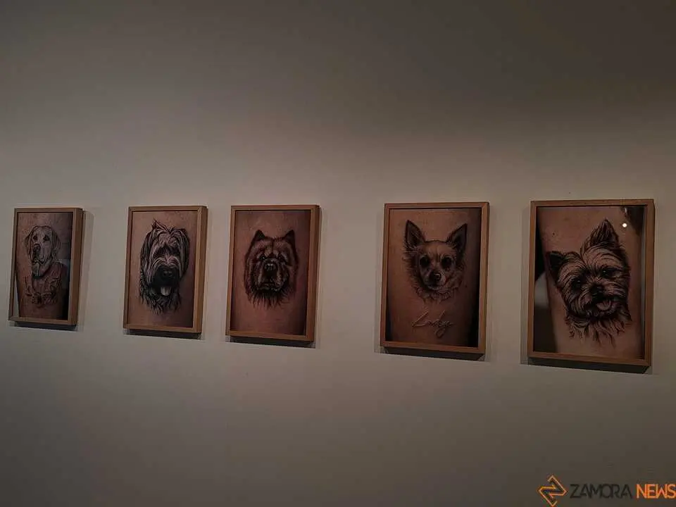 Tinta y Origen_6