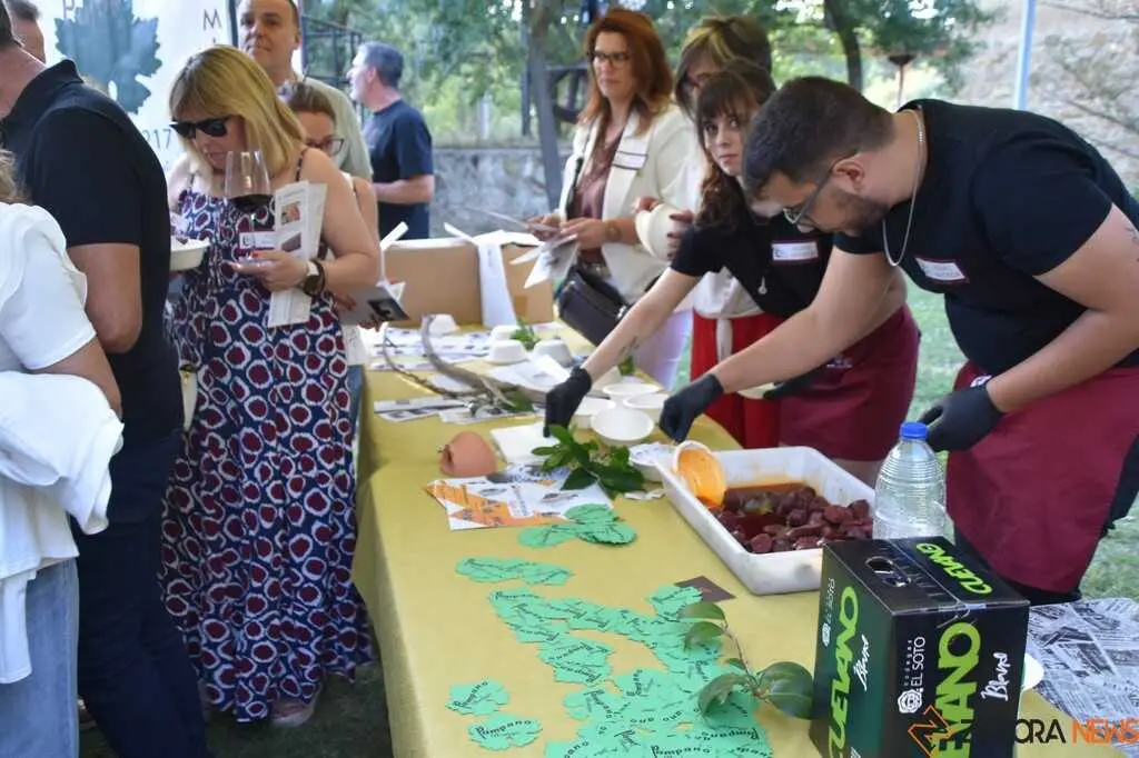 Conociendo la Ruta del Vino de ZamoraConociendo la Ruta del Vino de Zamora_21