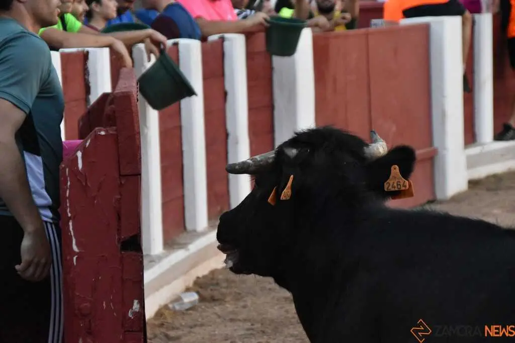 Grand Prix de Pe&ntilde;as _83