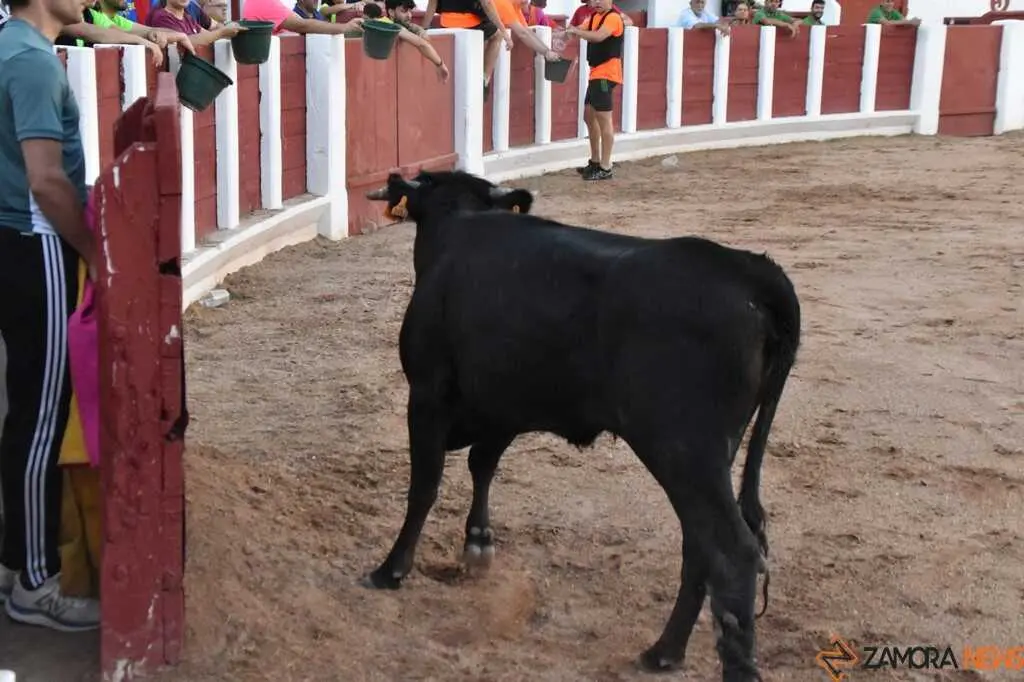 Grand Prix de Pe&ntilde;as _84