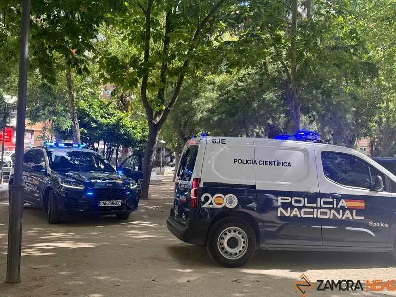 Feria del Veh&iacute;culo El&eacute;ctrico en Zamora_12
