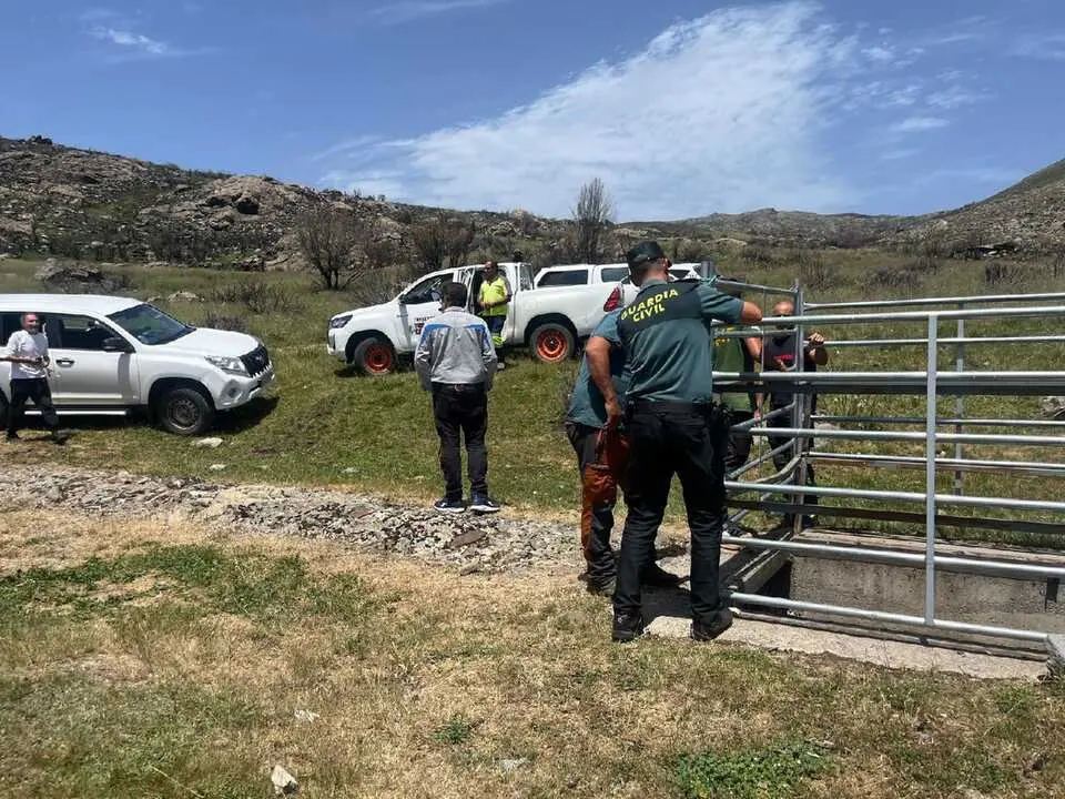 rescate de un Toro en Sanabria  (1)