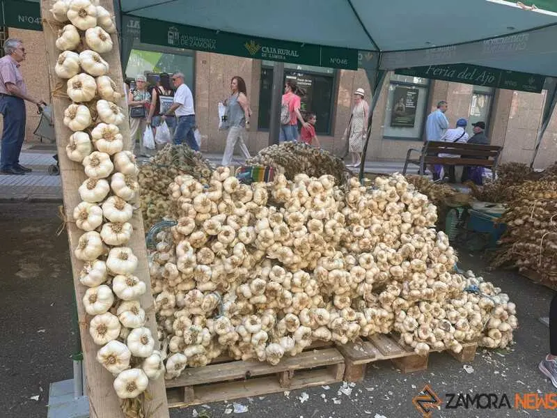 feria del ajo de Zamora 2026_2