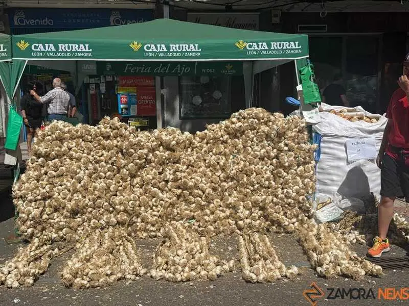 feria del ajo de Zamora 2026_4