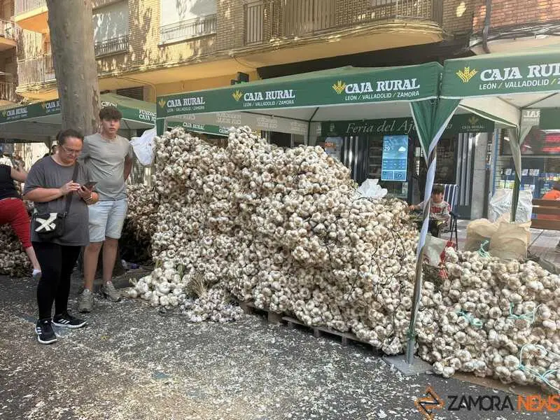 feria del ajo de Zamora 2026_5