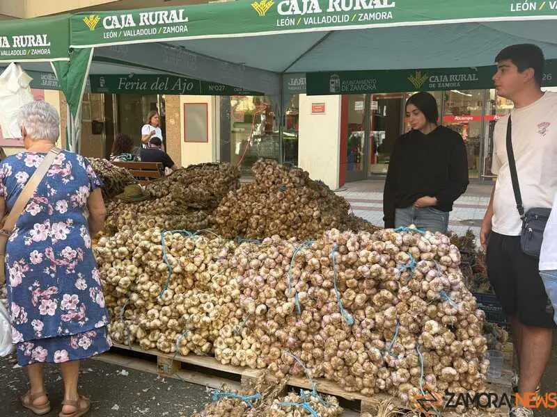 feria del ajo de Zamora 2026_7