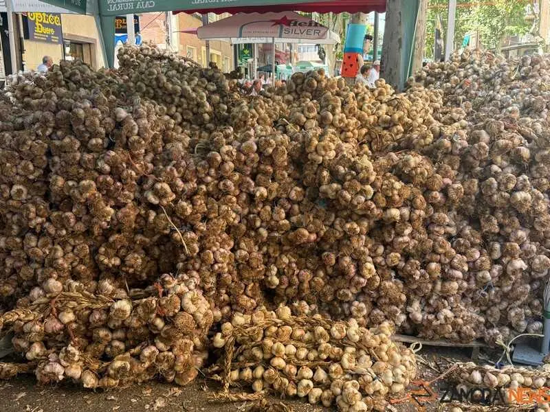 feria del ajo de Zamora 2026_12