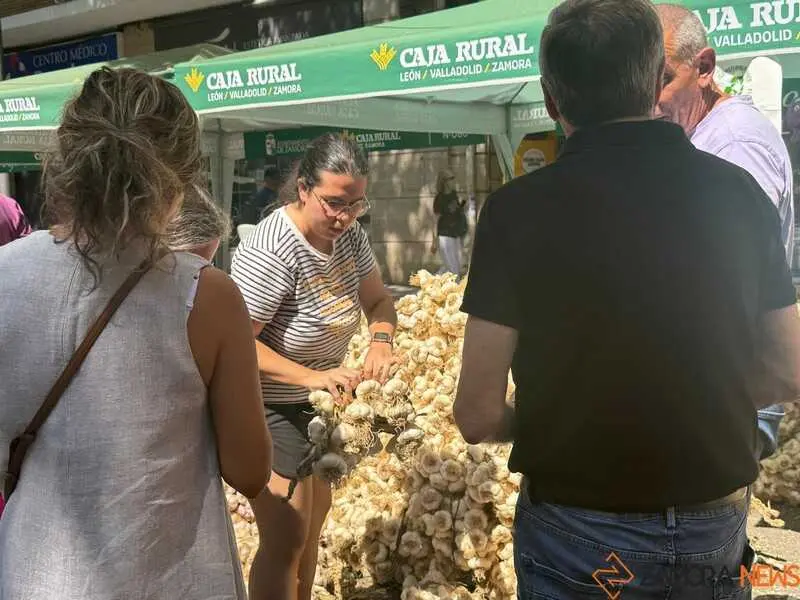 feria del ajo de Zamora 2026_15